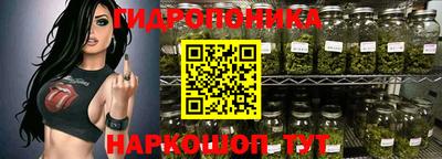 spice Рязань